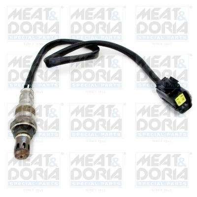 Oxygen Sensor